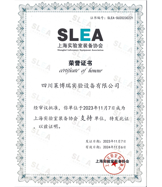 SLEA荣誉证书